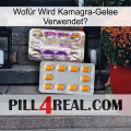 Wofür Wird Kamagra-Gelee Verwendet1 new12